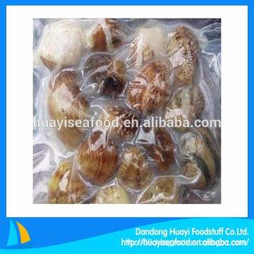 vacuum packed frozen short necked clam with natural juice ready to eat